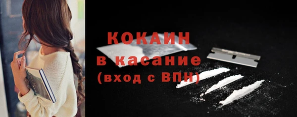 сатива Аркадак