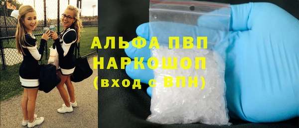 сатива Аркадак