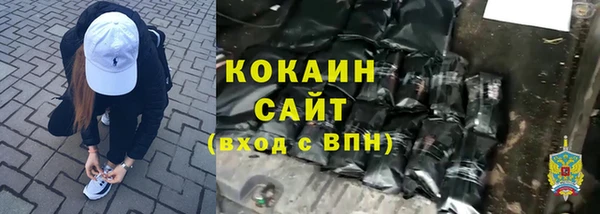 тгк Арсеньев