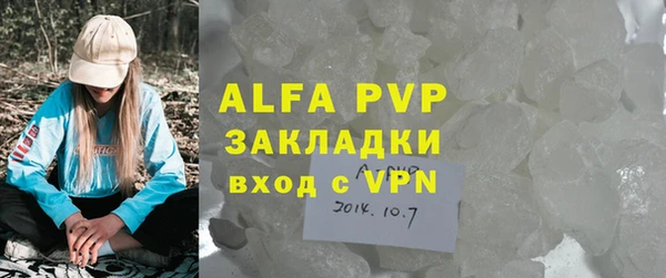 сатива Аркадак