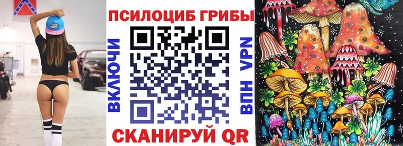 Галлюциногенные грибы Cubensis  Сретенск 